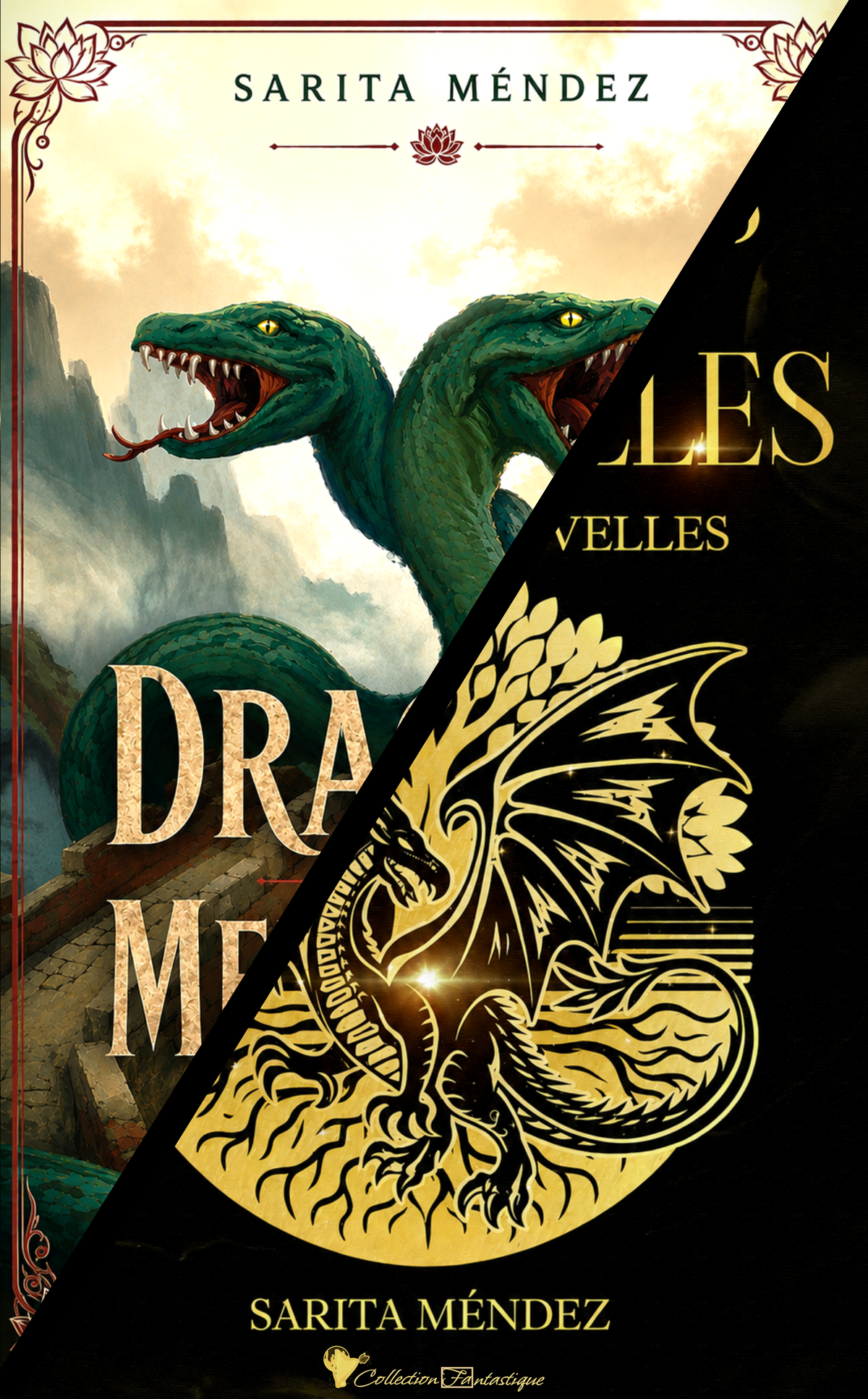 dragons et merveilles lien