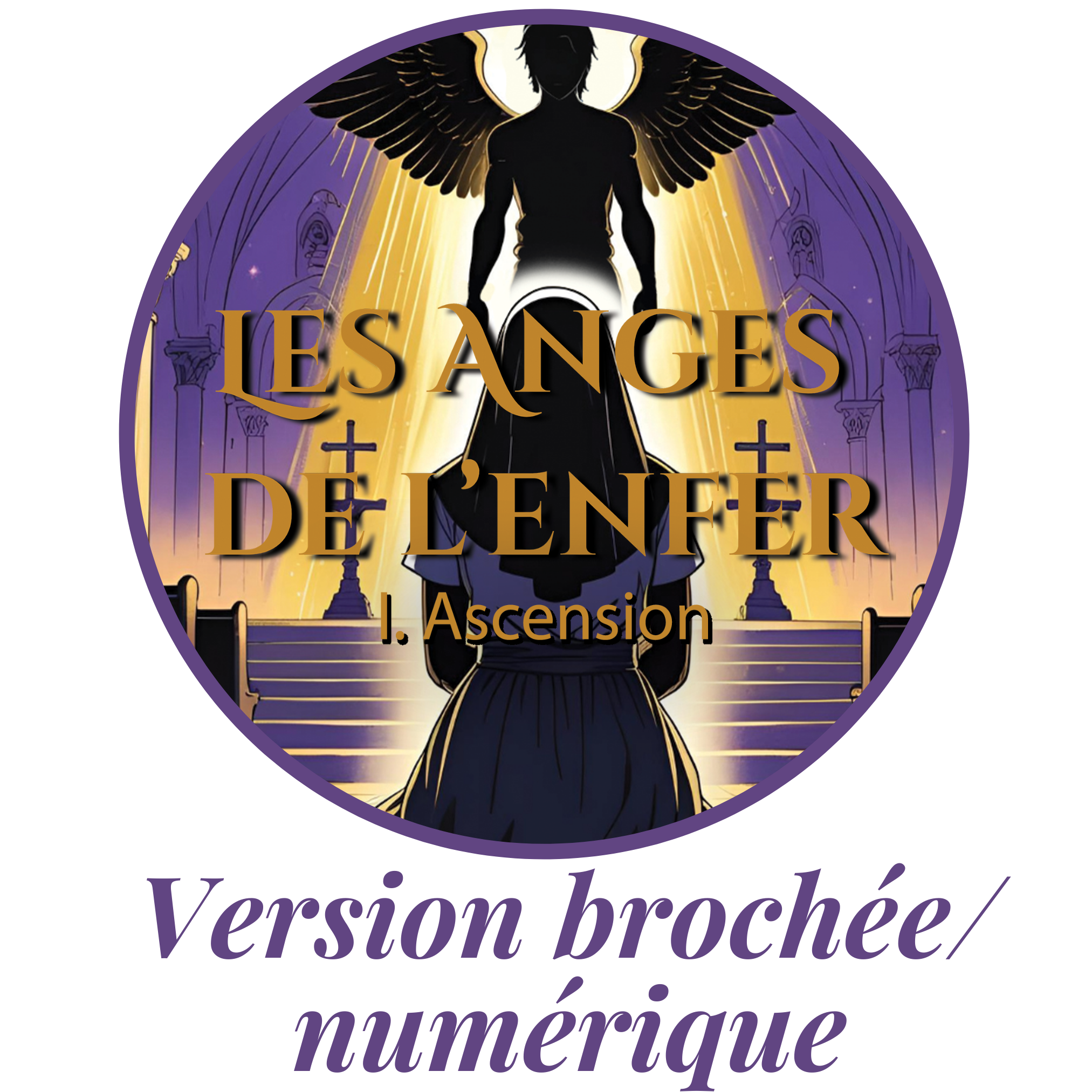 les anges de l'enfer 1 brochee num